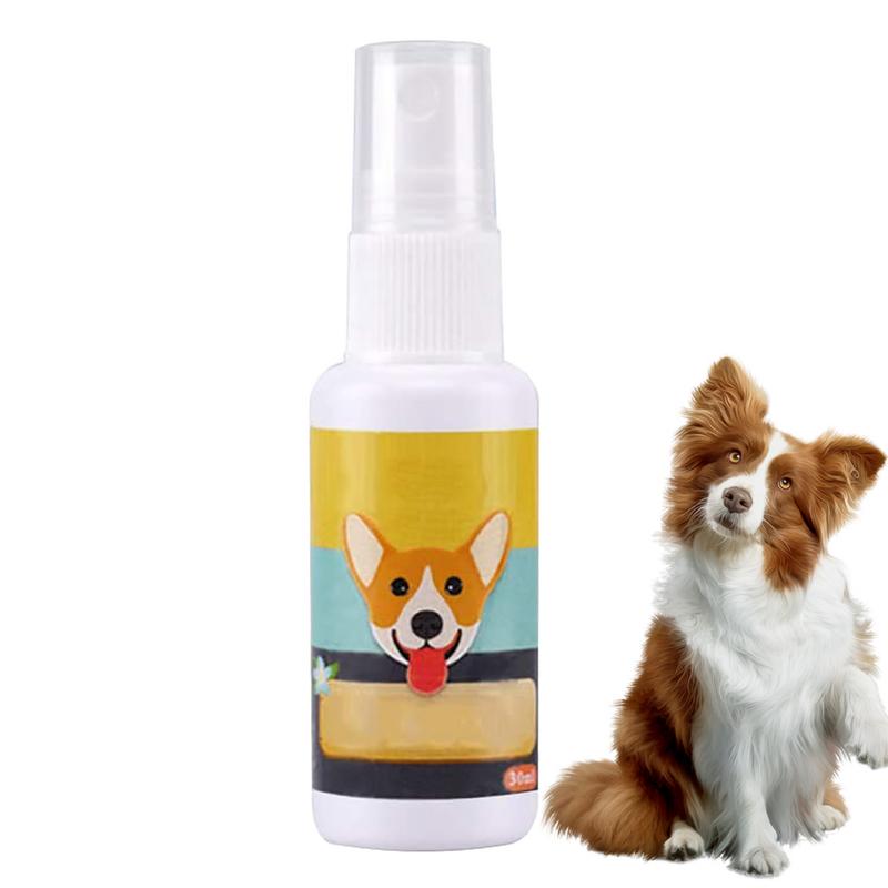 Travel Accessories Dropshipping - Pot d'entraînement portable pour animaux de